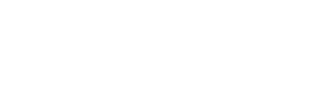 logo_every_blanco_1000x350