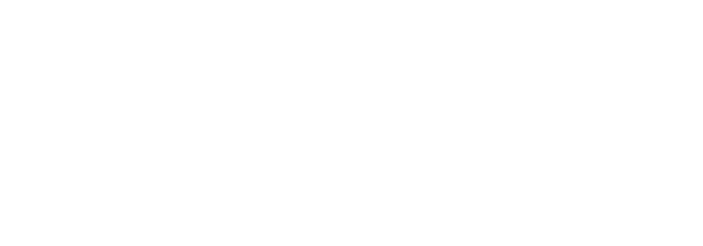 logo_singularwod_blanco_1000x350